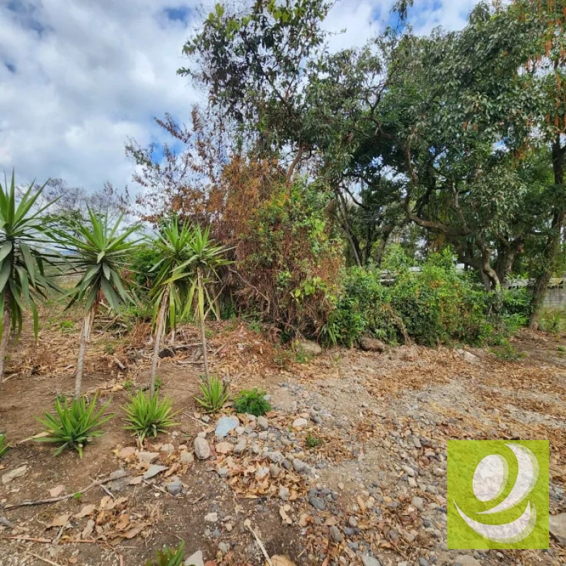Vendo Terreno dentro de Mayan Golf Villa Nueva - 3