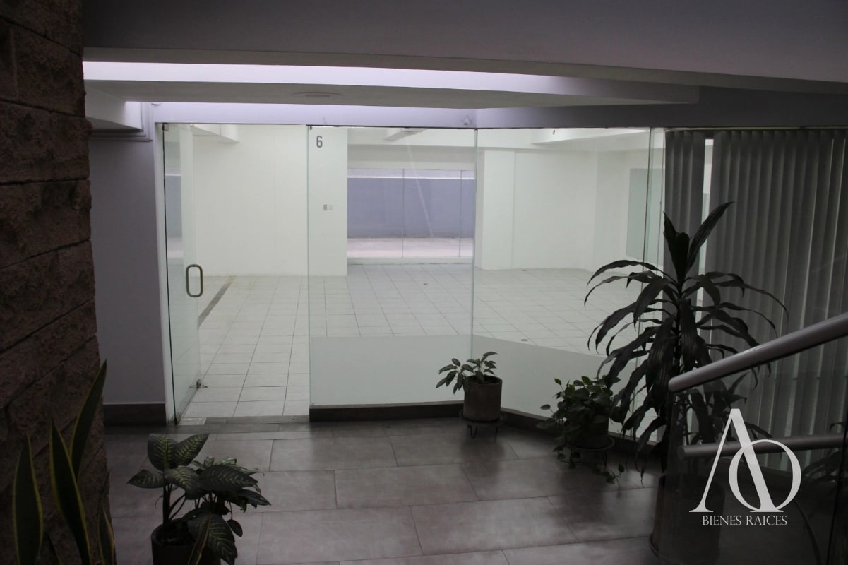 Local en Alquiler Edificio Murano Center, zona 10 N1 / EN DIRECTO - 3