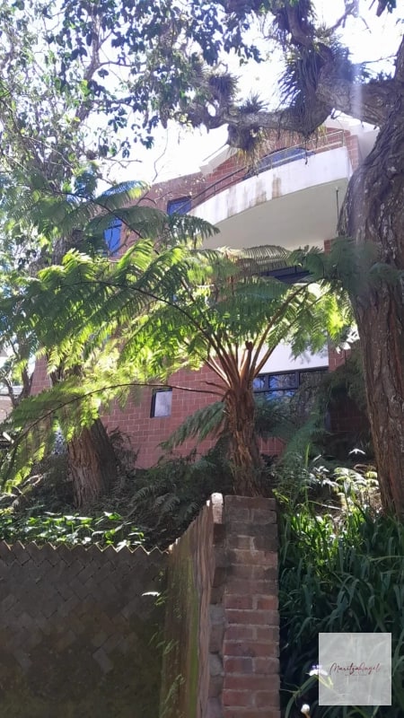 ALQUILER DE APARTAMENTO  EN CARRETERA A EL SALVADOR VILLA CAFETTO - 3