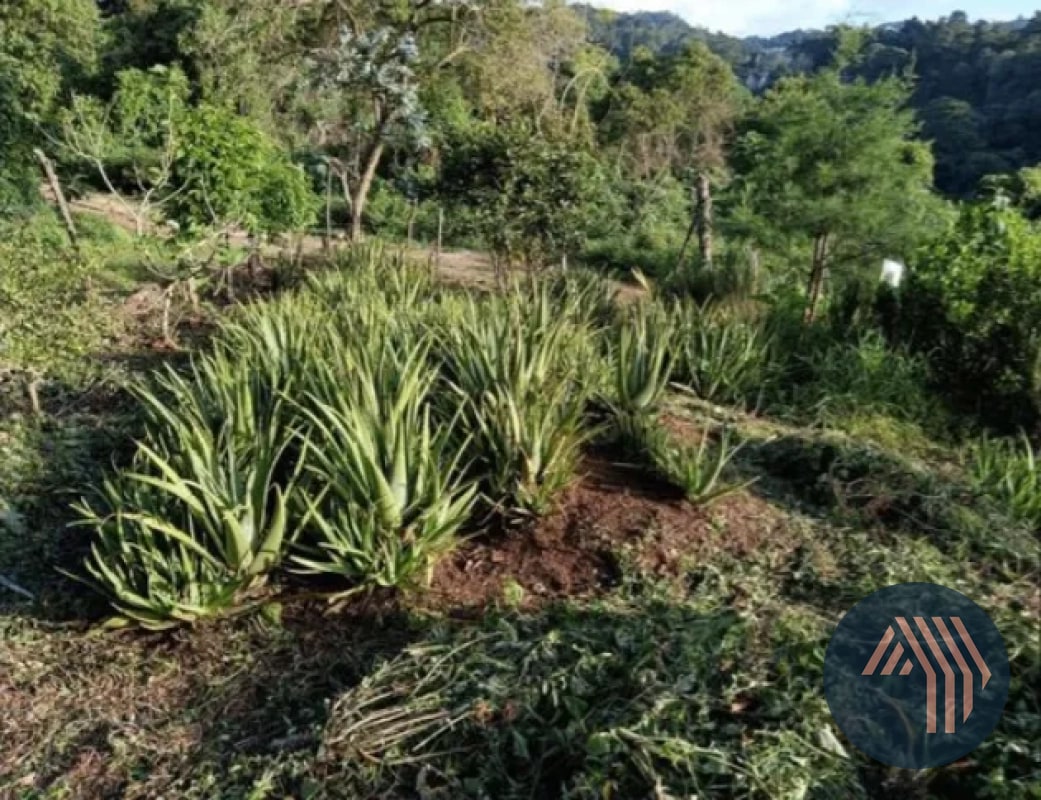 VENTA DE TERRENO RESIDENCIAL - HACIENDA REAL, ZONA 16 - 6