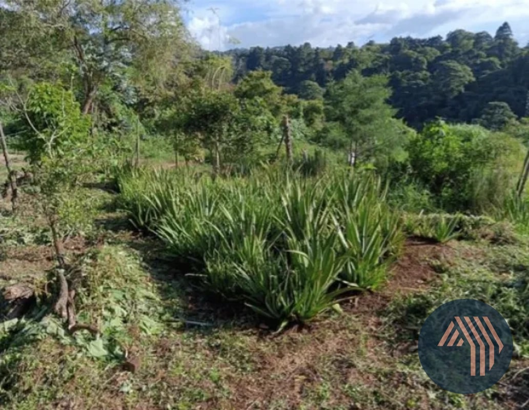 VENTA DE TERRENO RESIDENCIAL - HACIENDA REAL, ZONA 16 - 3