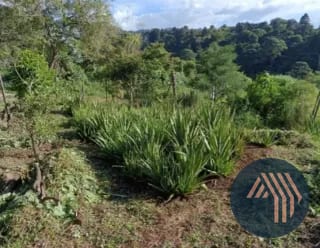 VENTA DE TERRENO RESIDENCIAL - HACIENDA REAL, ZONA 16 — Terreno en Venta en Hacienda Real, Zona 16, Guatemala, Ciudad — miniatura 4 de 8