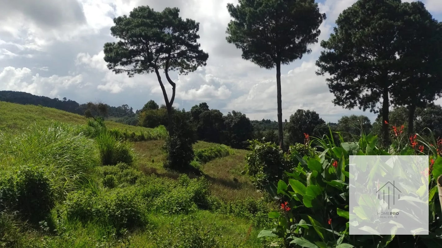 Terreno en Venta en Zaragoza, Chimaltenango — Terreno en Venta en Zaragoza, Chimaltenango — foto 5 de 8