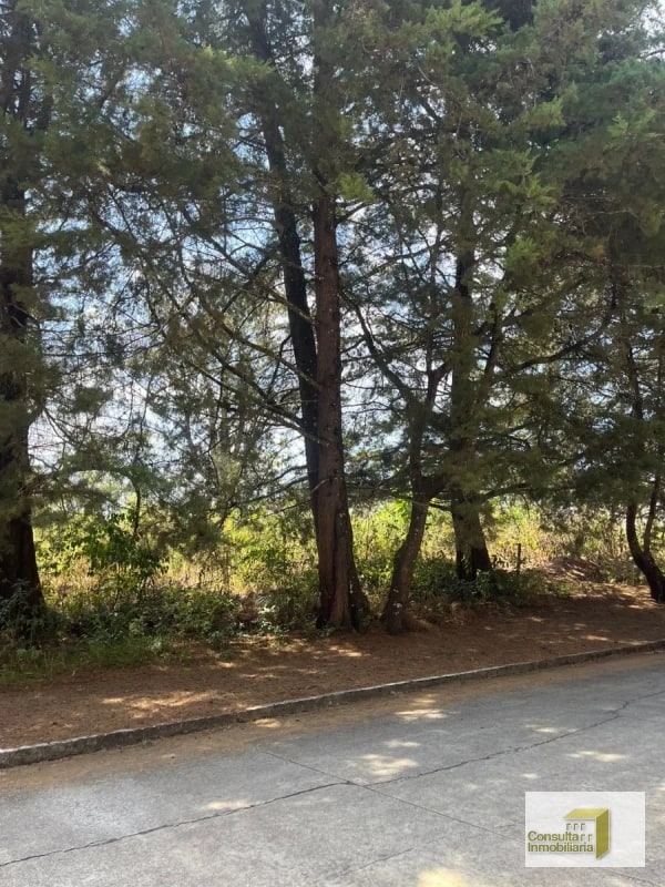 Casa y Campo/ terreno en venta/ 12120v2 - 6