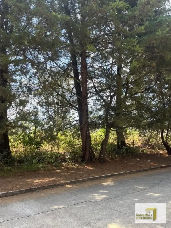 Casa y Campo/ terreno en venta/ 12120v2 — Terreno en Venta en Carretera a El Salvador, Guatemala, Ciudad — foto 6 de 8