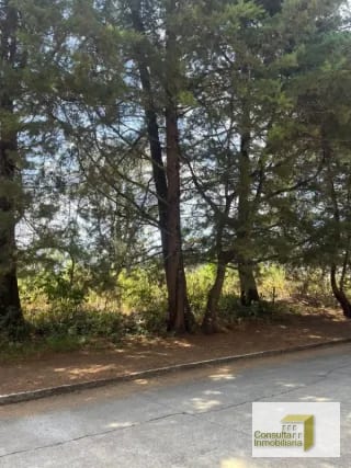 Casa y Campo/ terreno en venta/ 12120v2 — Terreno en Venta en Carretera a El Salvador, Guatemala, Ciudad — miniatura 6 de 8