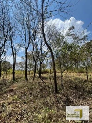 Casa y Campo/ terreno en venta/ 12120v2 — Terreno en Venta en Carretera a El Salvador, Guatemala, Ciudad — miniatura 5 de 8