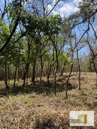 Casa y Campo/ terreno en venta/ 2411v2 — Terreno en Venta en Carretera a El Salvador, Guatemala, Ciudad — miniatura 1 de 4