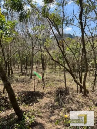 Casa y Campo/ terreno en venta/ 3286v2 — Terreno en Venta en Carretera a El Salvador, Guatemala, Ciudad — miniatura 3 de 6