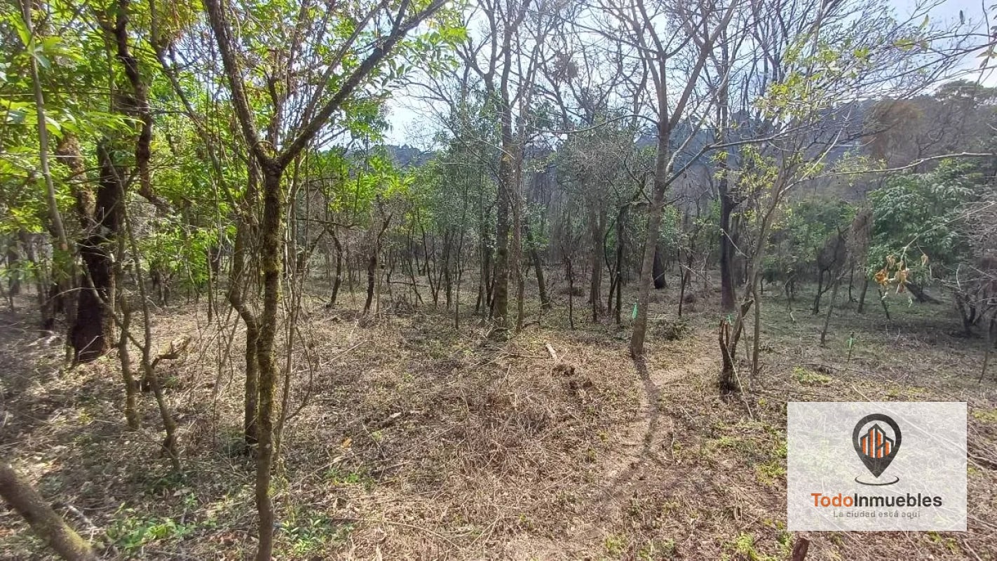 Terrenos en Venta en Casa y Campo km 23.5 CES - 15