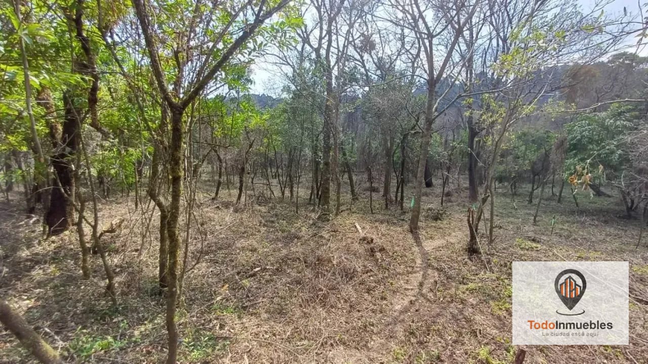Terrenos en Venta en Casa y Campo km 23.5 CES — Terreno en Venta en km 21-25, Carretera a El Salvador, Guatemala, Ciudad — foto 1 de 15