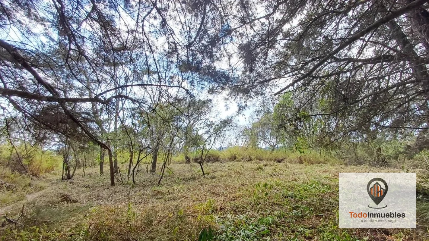 Terrenos en Venta en Casa y Campo km 23.5 CES - 13