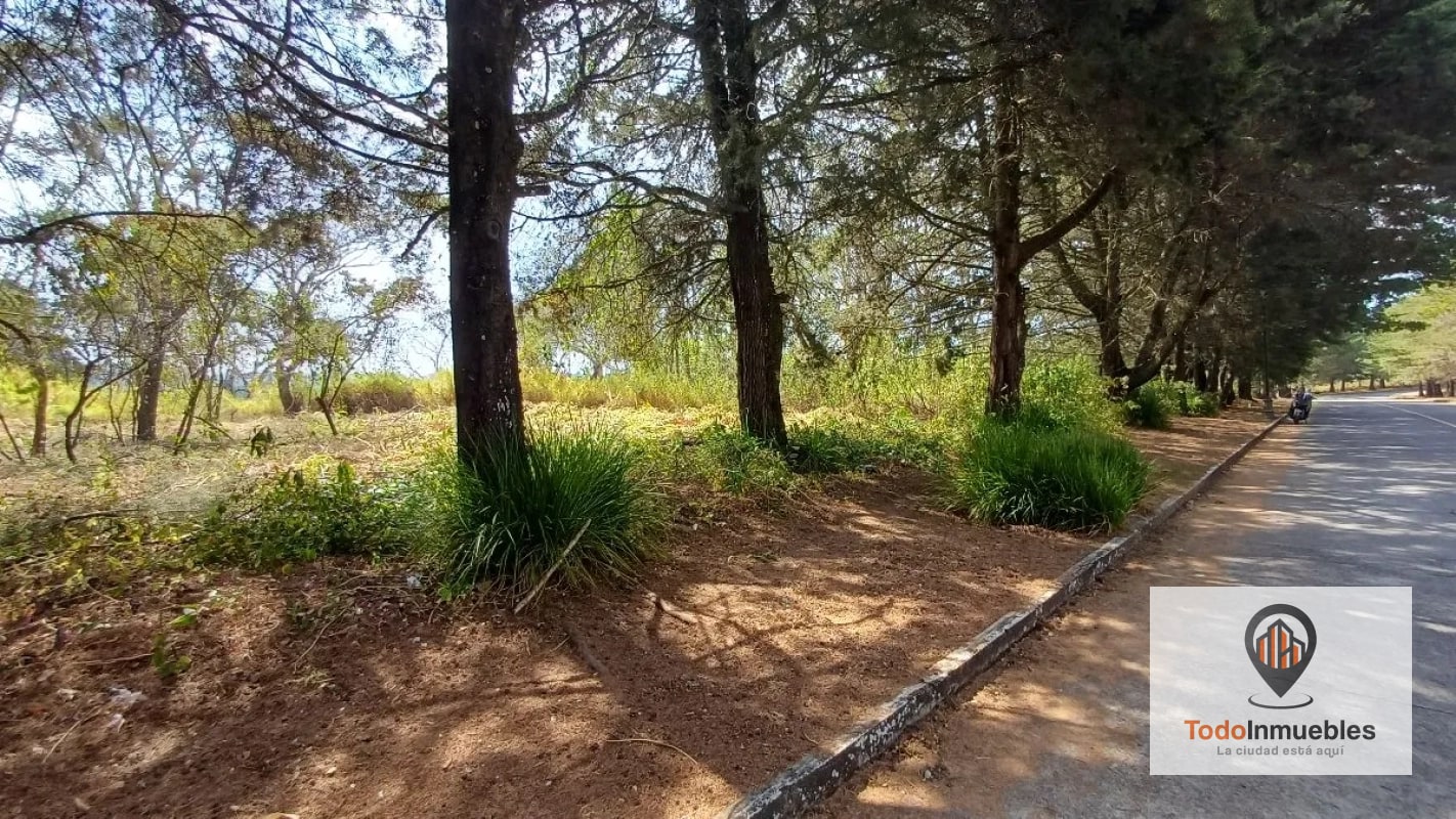 Terrenos en Venta en Casa y Campo km 23.5 CES - 12