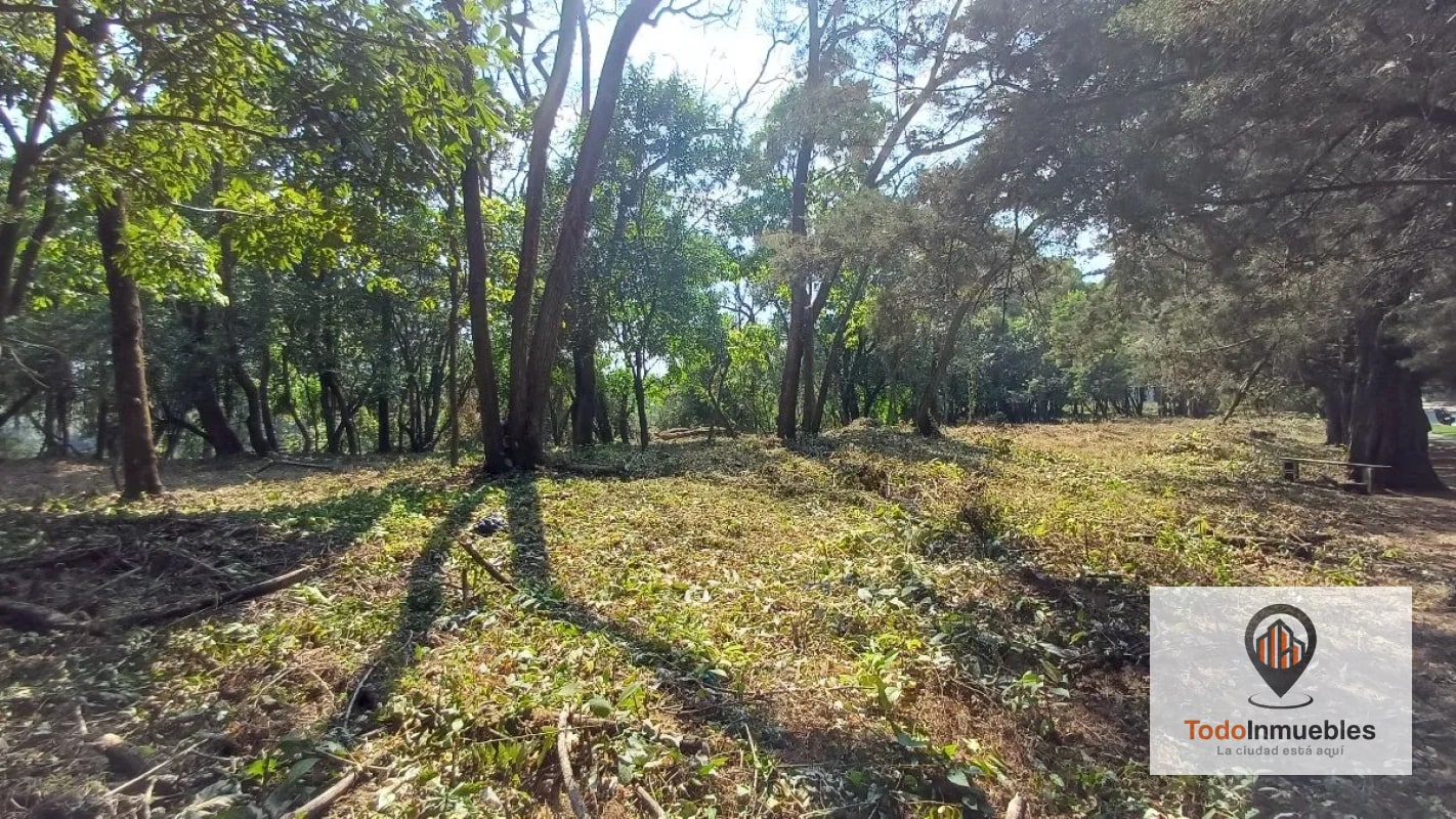 Terrenos en Venta en Casa y Campo km 23.5 CES - 10