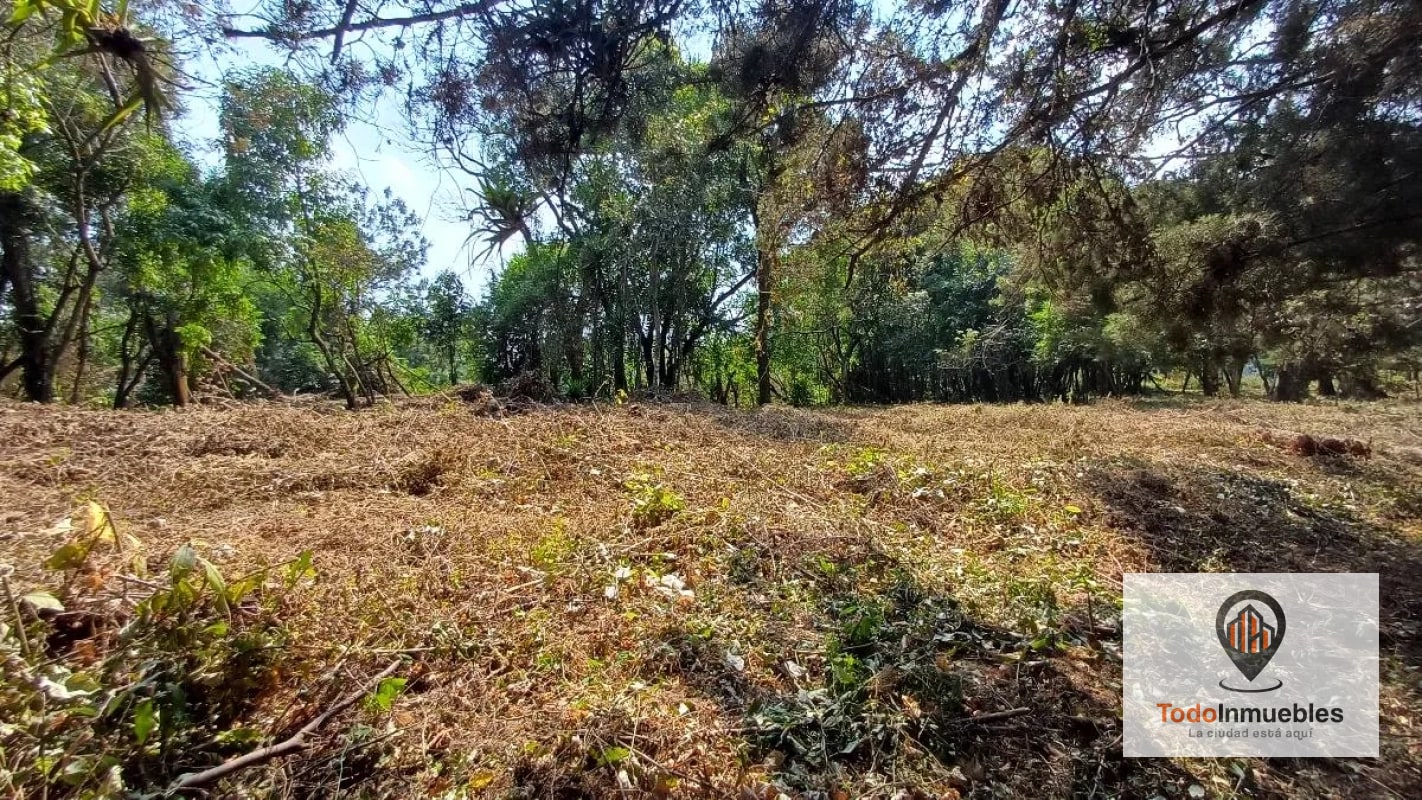Terrenos en Venta en Casa y Campo km 23.5 CES - 9