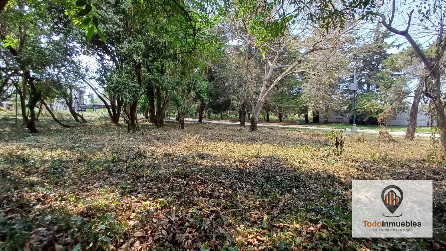 Terrenos en Venta en Casa y Campo km 23.5 CES - 8