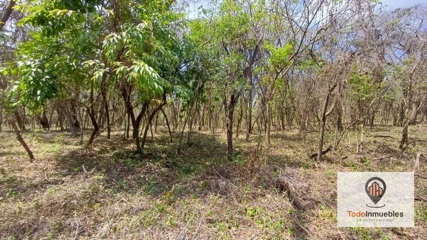 Terrenos en Venta en Casa y Campo km 23.5 CES - 2