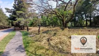 Terrenos en Venta en Casa y Campo km 23.5 CES — Terreno en Venta en km 21-25, Carretera a El Salvador, Guatemala, Ciudad — miniatura 2 de 15