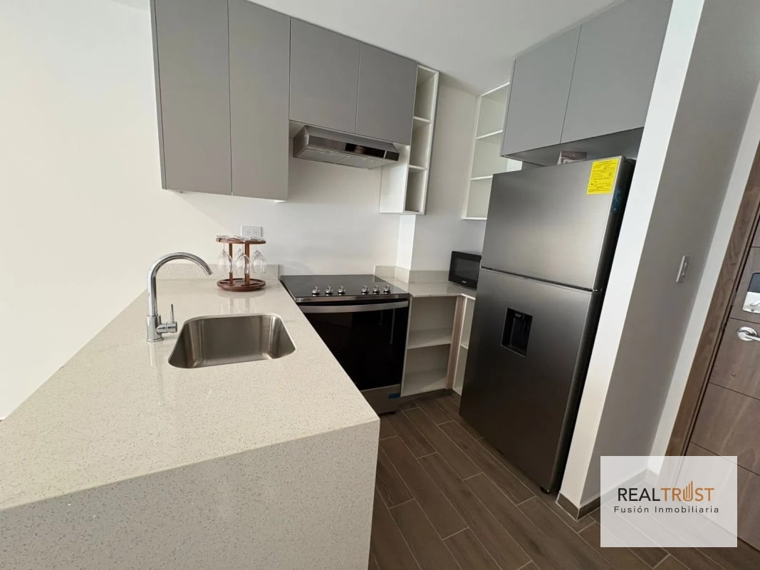 Apartamento en renta Parque 14 zona 14 - 10