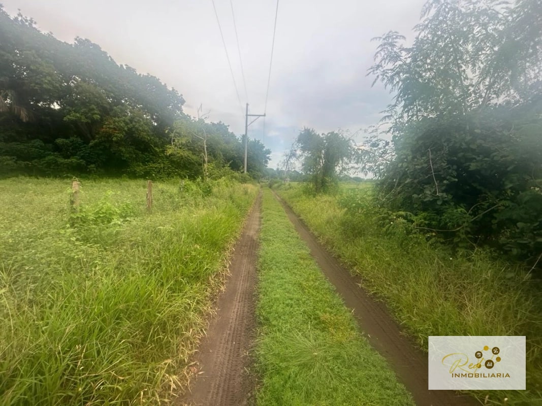 VENTA TERRENOS EN MONTERRICO - 5