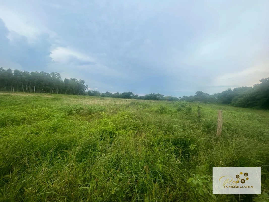 VENTA TERRENOS EN MONTERRICO - 7