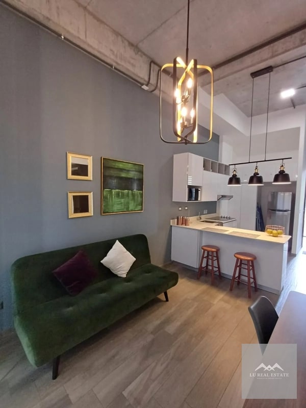 Apartamento de una habitación amueblado en z16 - 2