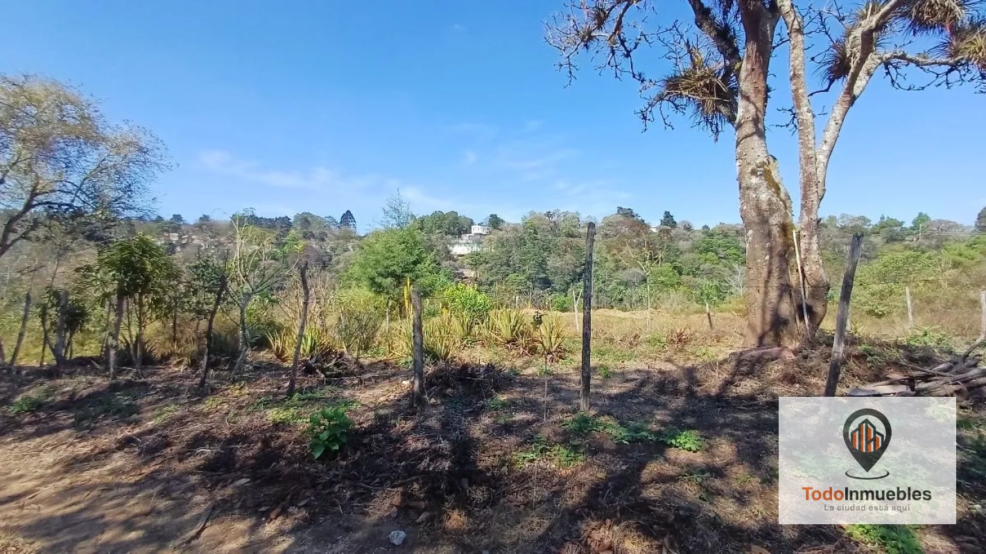 Terreno en Venta en Hacienda Real z16 - 7
