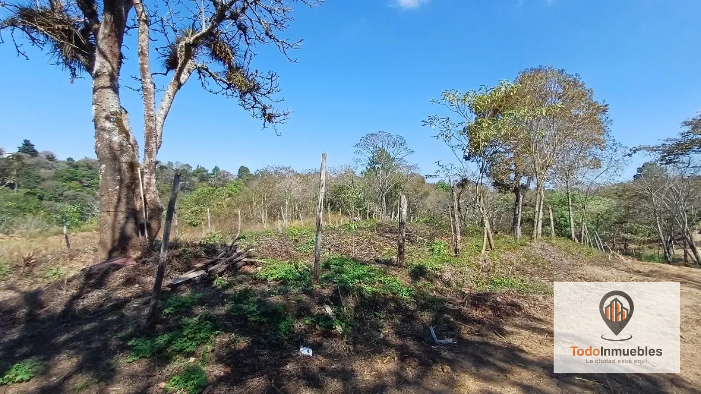 Terreno en Venta en Hacienda Real z16 - 5