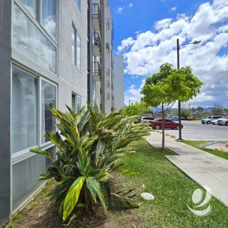 ¡¡¡Bonito Apartamento en Renta Villa Nueva Solana Entre Valles!!! - 5