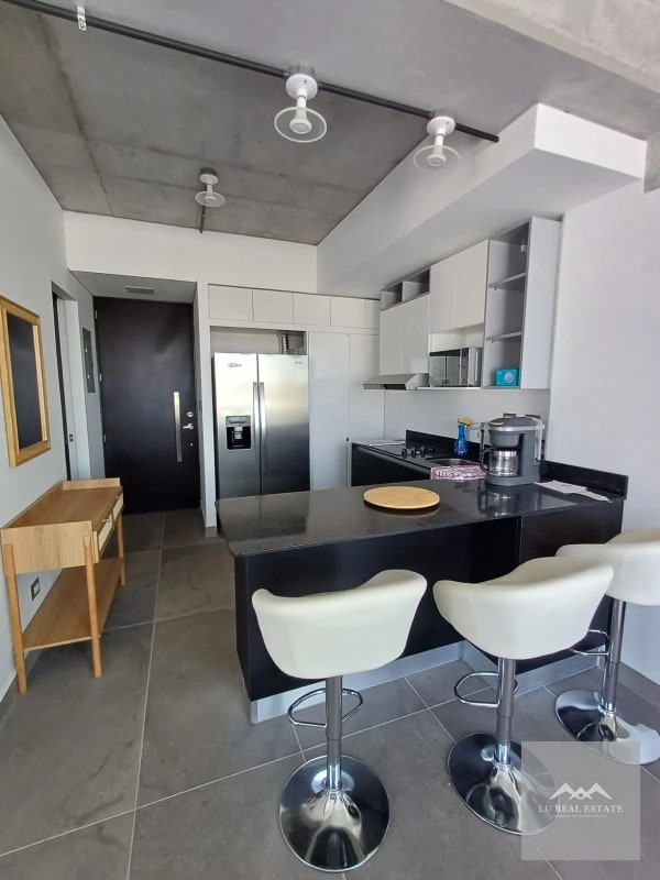 Apartamento amueblado de dos habitaciones z10 - 5