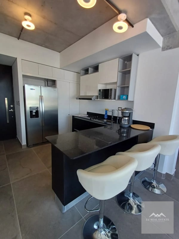 Apartamento amueblado de dos habitaciones z10 - 3