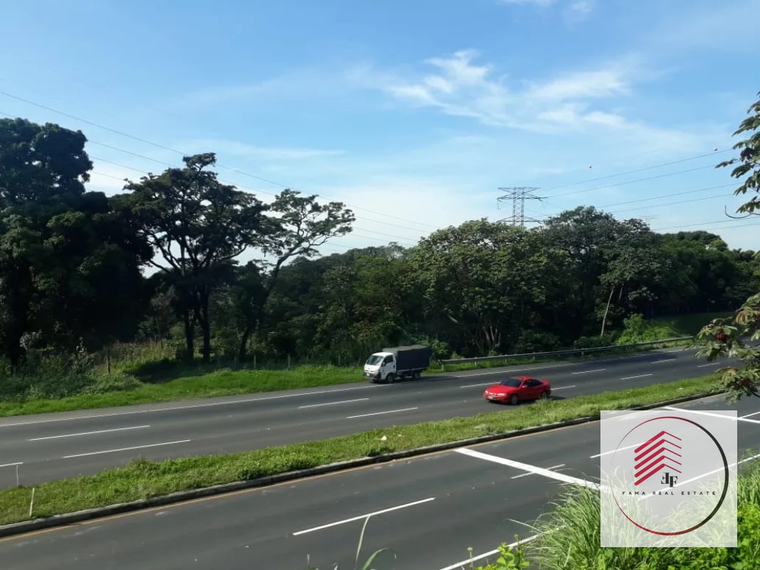 VENTA de terreno en la autopista de Palin Escuintla antes de la garita km 44 - 4