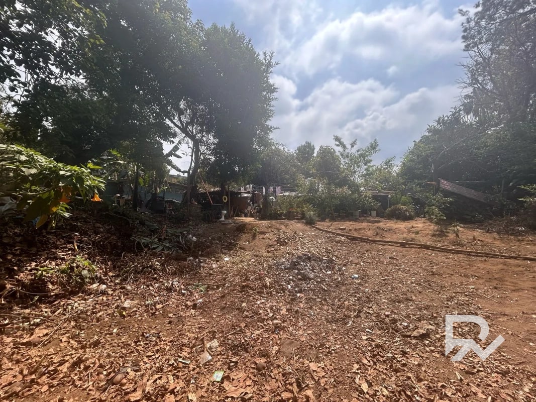 Venta de terreno rustico en San Lucas - 7