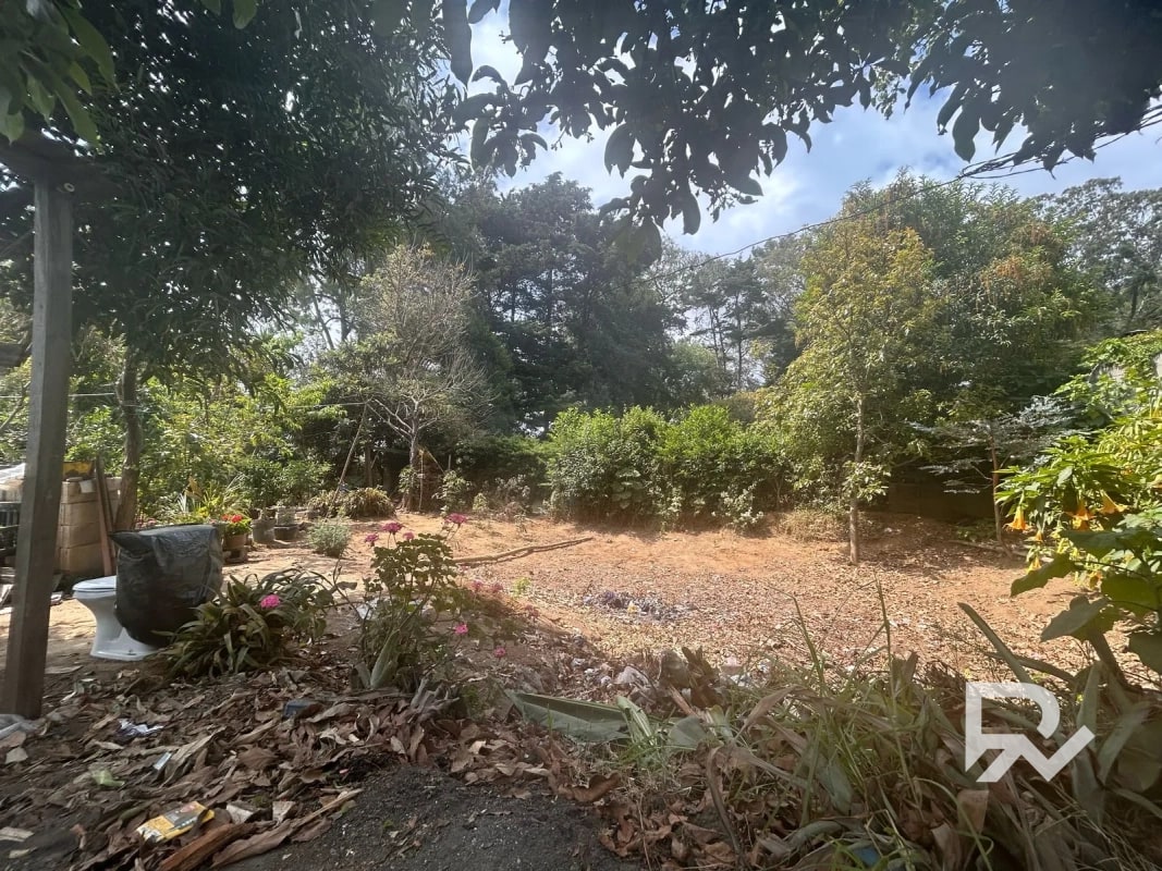 Venta de terreno rustico en San Lucas - 6
