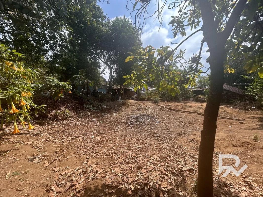 Venta de terreno rustico en San Lucas - 5
