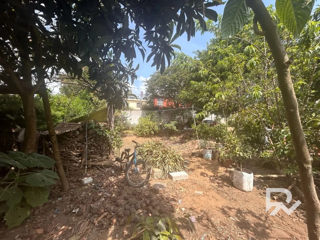 Venta de terreno rustico en San Lucas - 4