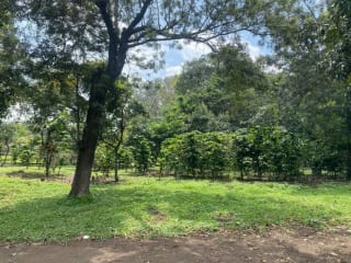 PRECIOSA PROPIEDAD DE ESQUINA EN ALOTENANGO  FRENTE A LA RN14 — Terreno en Venta en Alotenango, Sacatepéquez — miniatura 6 de 14