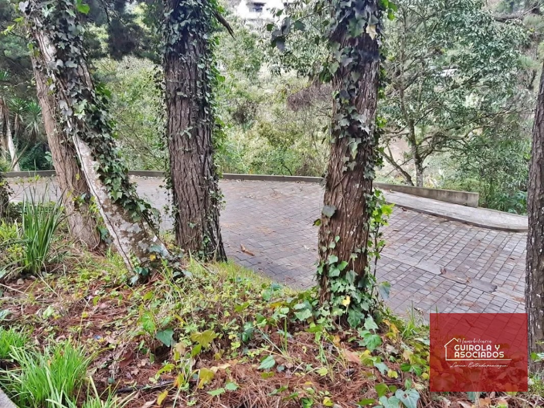 TERRENO EN VENTA EN SANTA ROSALIA 085TVSTD/ NUEVO PRECIO - 7