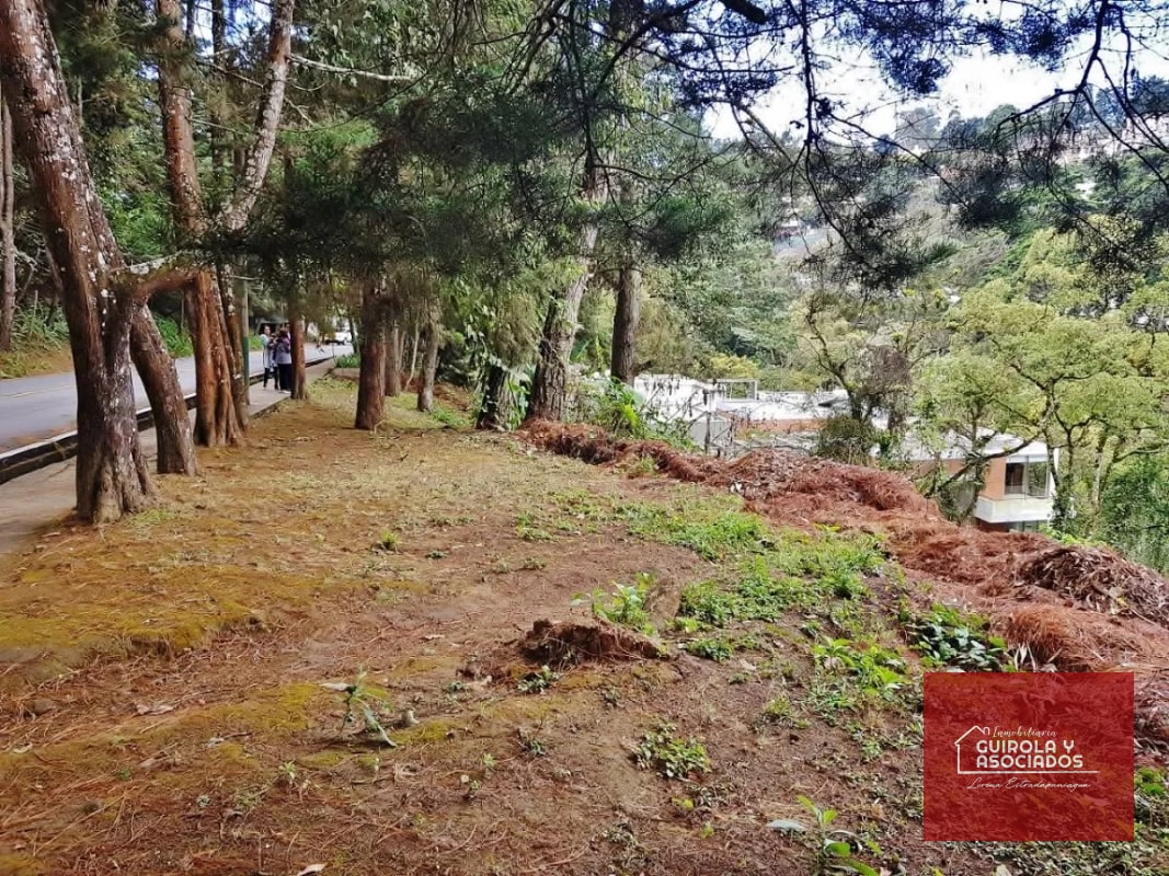 TERRENO EN VENTA EN SANTA ROSALIA 085TVSTD/ NUEVO PRECIO - 6