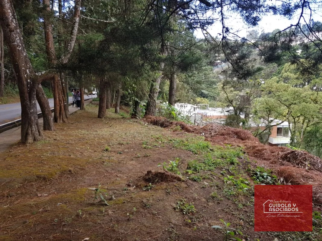 TERRENO EN VENTA EN SANTA ROSALIA 085TVSTD/ NUEVO PRECIO - 5