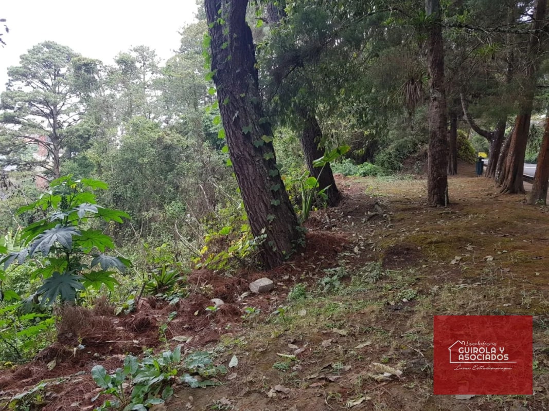 TERRENO EN VENTA EN SANTA ROSALIA 085TVSTD/ NUEVO PRECIO - 4