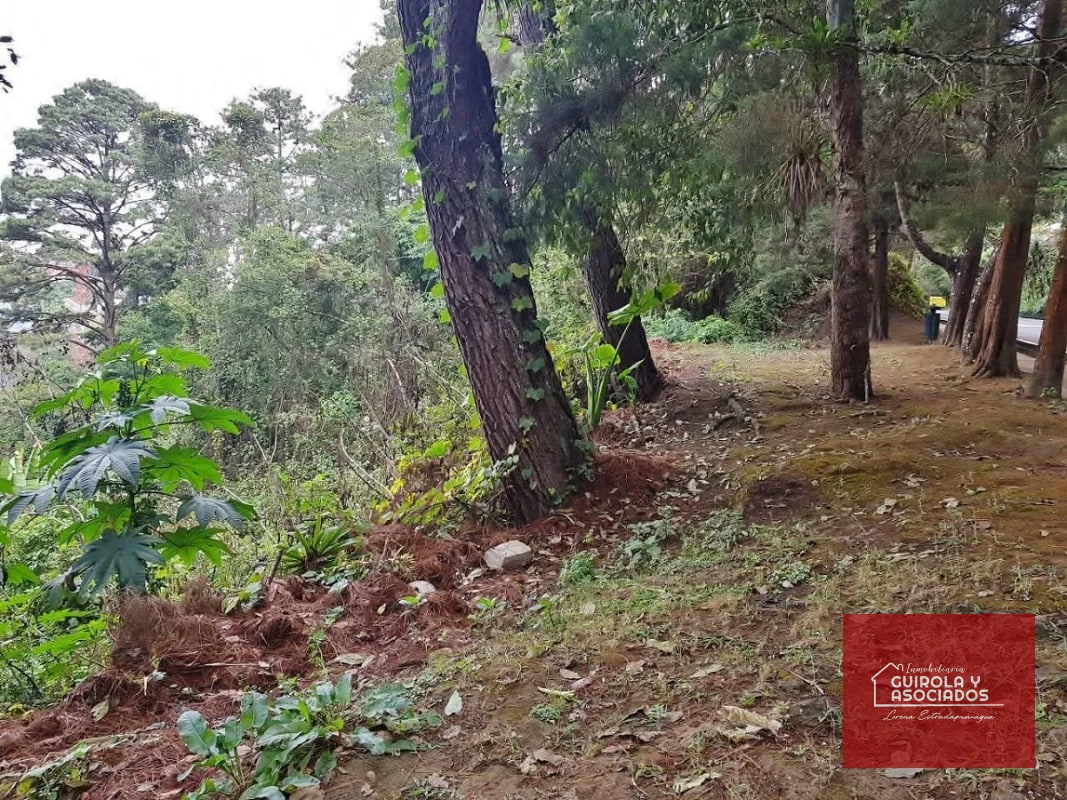 TERRENO EN VENTA EN SANTA ROSALIA 085TVSTD/ NUEVO PRECIO - 3