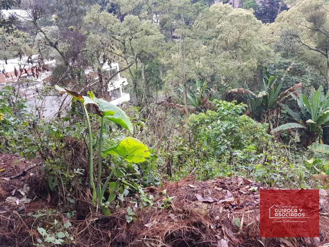 TERRENO EN VENTA EN SANTA ROSALIA 085TVSTD/ NUEVO PRECIO - 1