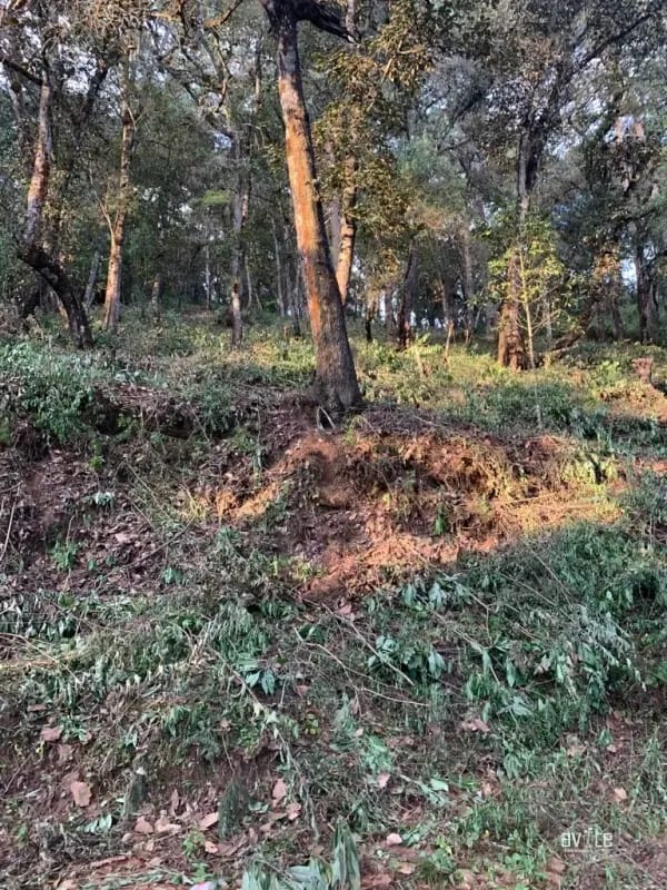 El Encinal, tronco 10.   Terreno de 4,460 varas en venta Q900,000 más impuestos, negociable — Terreno en Venta en El Encinal, Zona 7 Mixco, Guatemala, Ciudad — foto 2 de 9