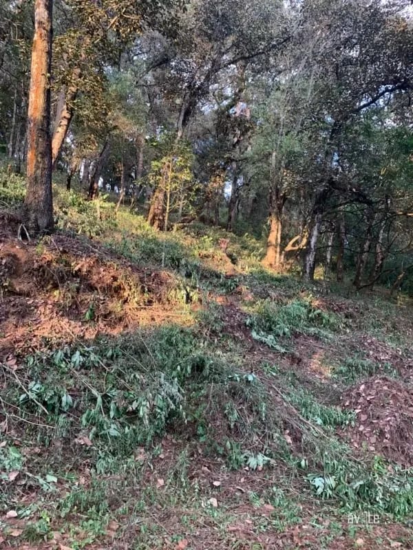 El Encinal, tronco 10. Terreno de 4,460 varas en venta Q900,000 más impuestos, negociable — Terreno en Venta en El Encinal, Zona 7 Mixco, Guatemala, Ciudad — foto 3 de 9