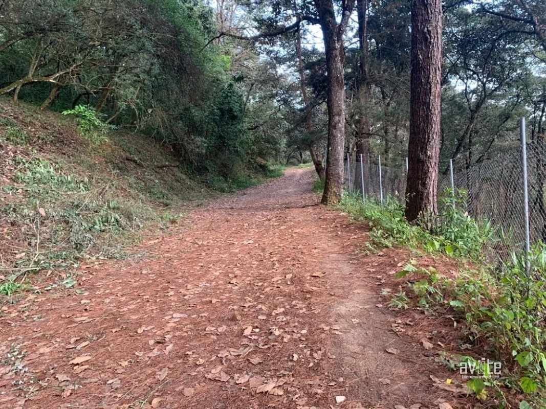 El Encinal, tronco 10. Terreno de 4,460 varas en venta Q900,000 más impuestos, negociable - 3