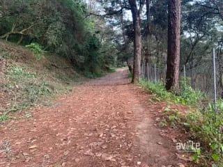 El Encinal, tronco 10.   Terreno de 4,460 varas en venta Q900,000 más impuestos, negociable — Terreno en Venta en El Encinal, Zona 7 Mixco, Guatemala, Ciudad — miniatura 4 de 9