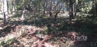 El Encinal, tronco 10.   Terreno de 4,460 varas en venta Q900,000 más impuestos, negociable — Terreno en Venta en El Encinal, Zona 7 Mixco, Guatemala, Ciudad — miniatura 5 de 9