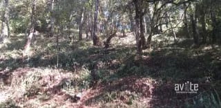 El Encinal, tronco 10.   Terreno de 4,460 varas en venta Q900,000 más impuestos, negociable — Terreno en Venta en El Encinal, Zona 7 Mixco, Guatemala, Ciudad — miniatura 6 de 9