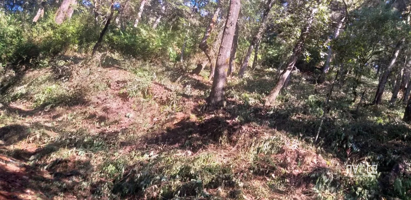 El Encinal, tronco 10. Terreno de 4,460 varas en venta Q900,000 más impuestos, negociable - 7